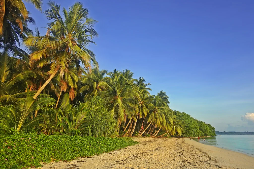 Havelock Island, Inde
