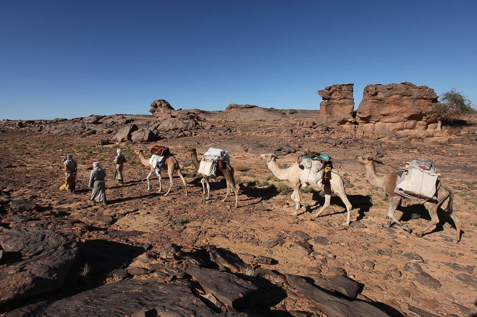 Tadjelahine, Algérie