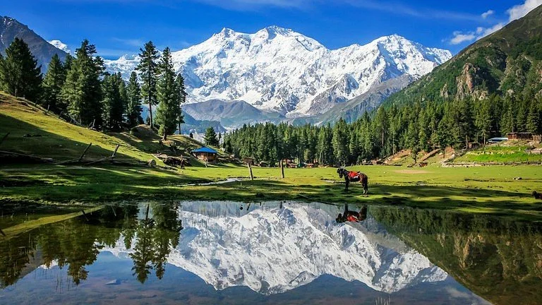 Prairie des fées, Pakistan