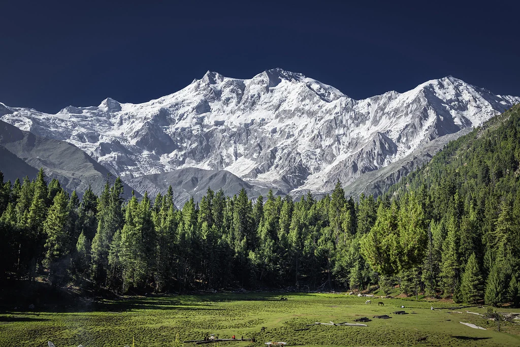 Prairie des fées, Pakistan