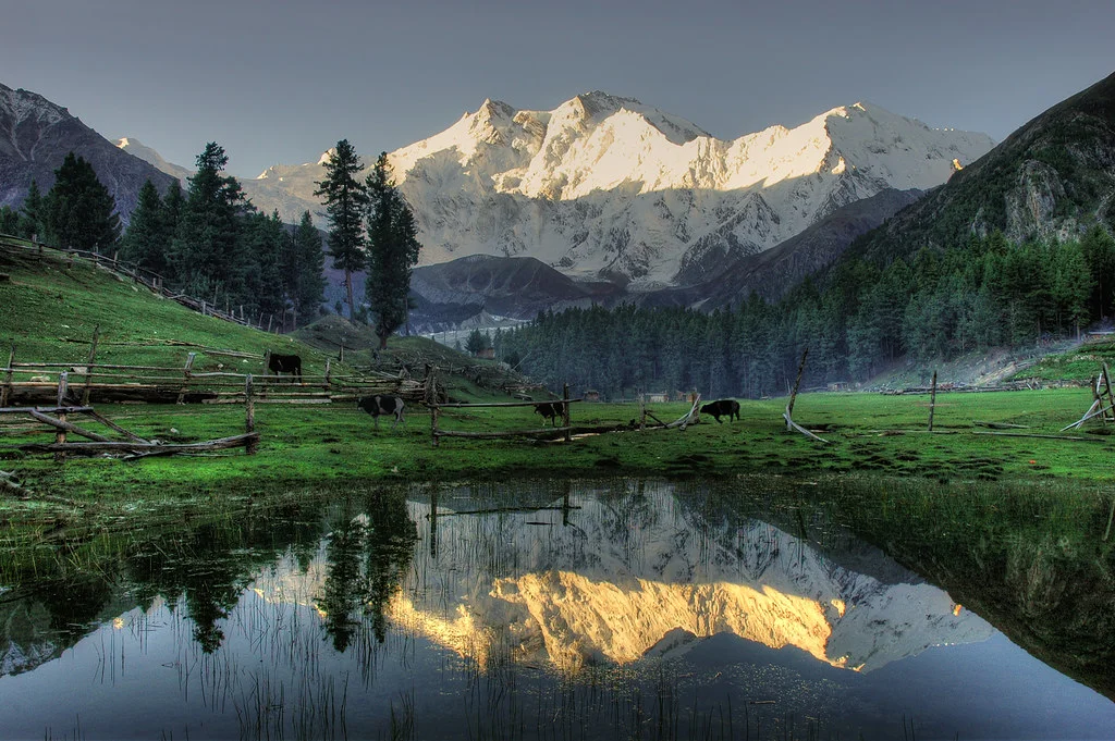 Prairie des fées, Pakistan
