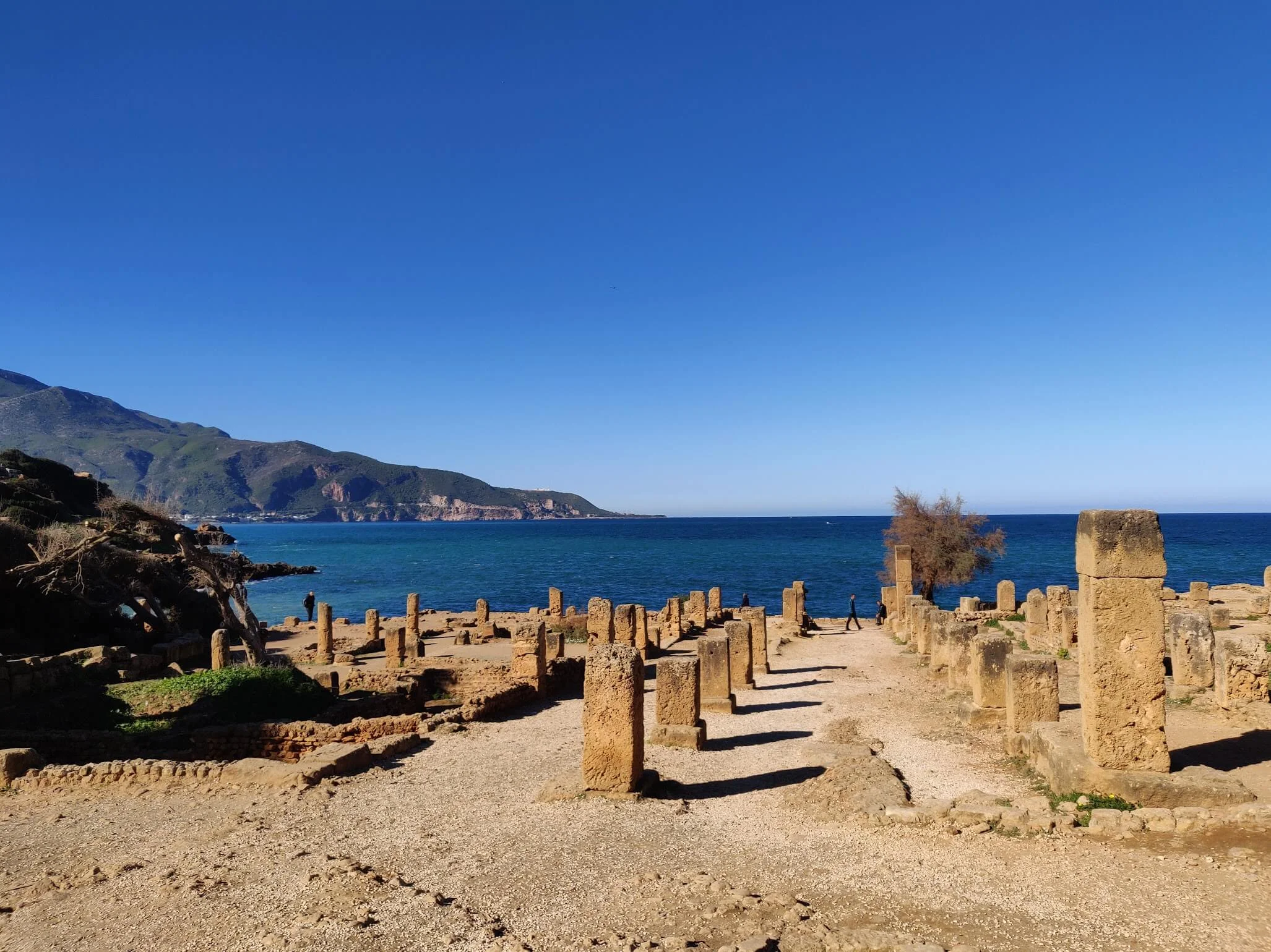 Ruines romaines de Tipaza, Algérie