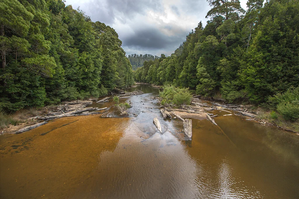 Parc national de Savage River, Australie, Tasmanie