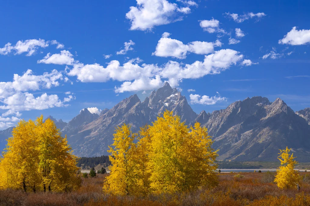 Willow Flats, États-Unis