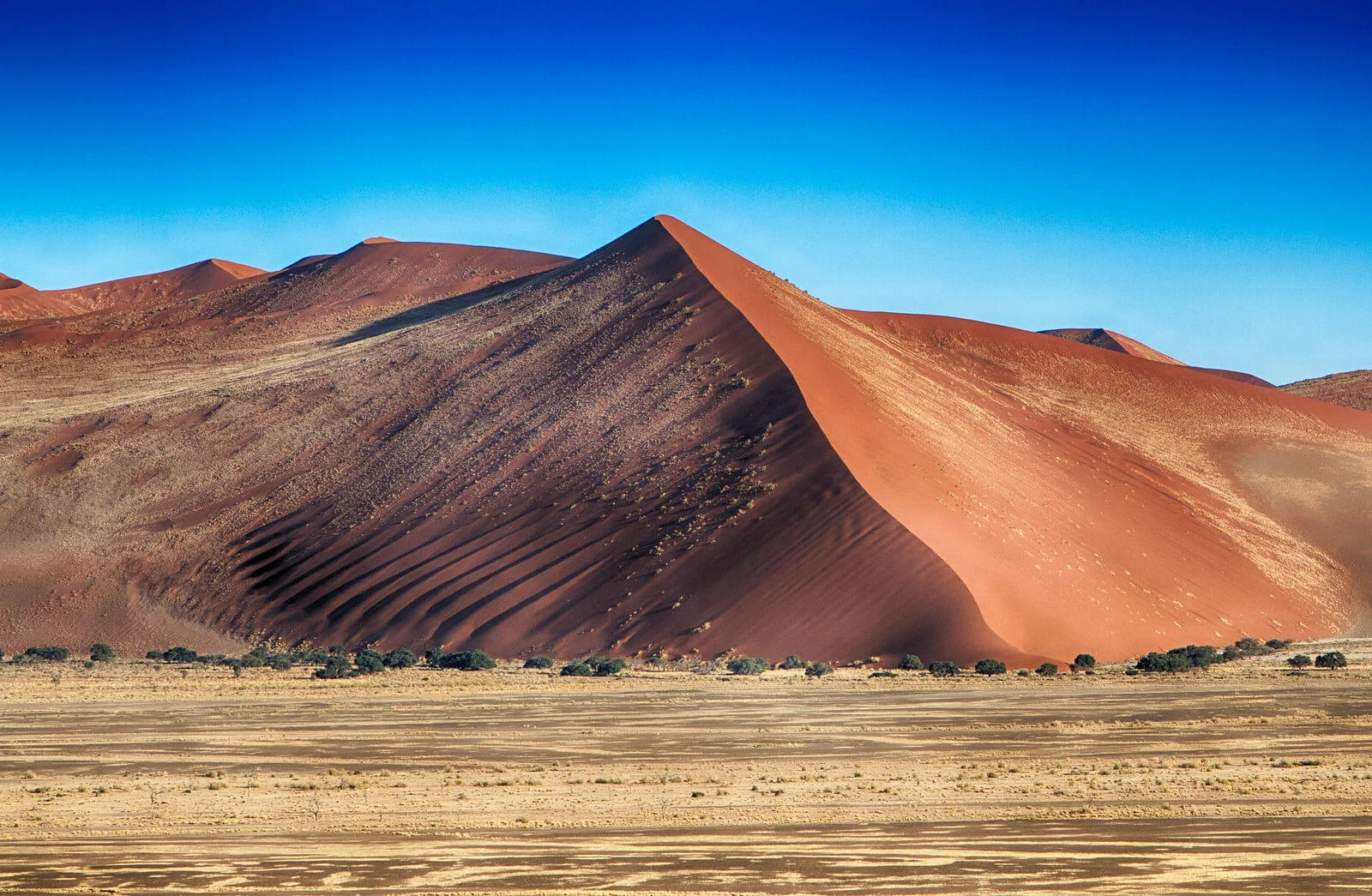 Sossusvlei, Namibie