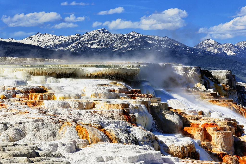 Mammoth Hot Springs, États-Unis