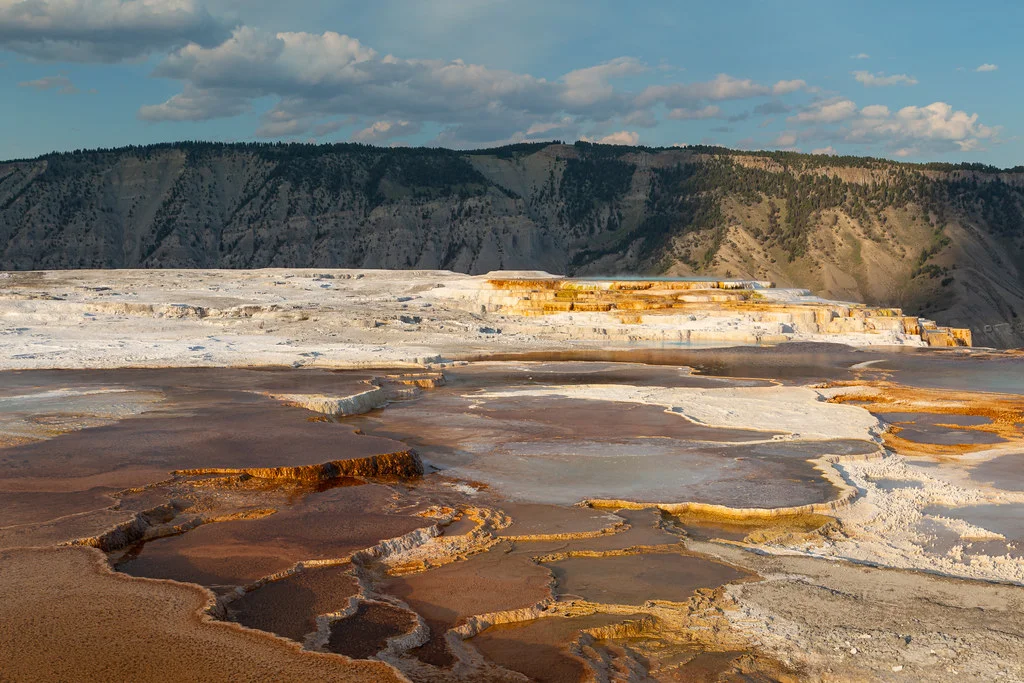Mammoth Hot Springs, États-Unis