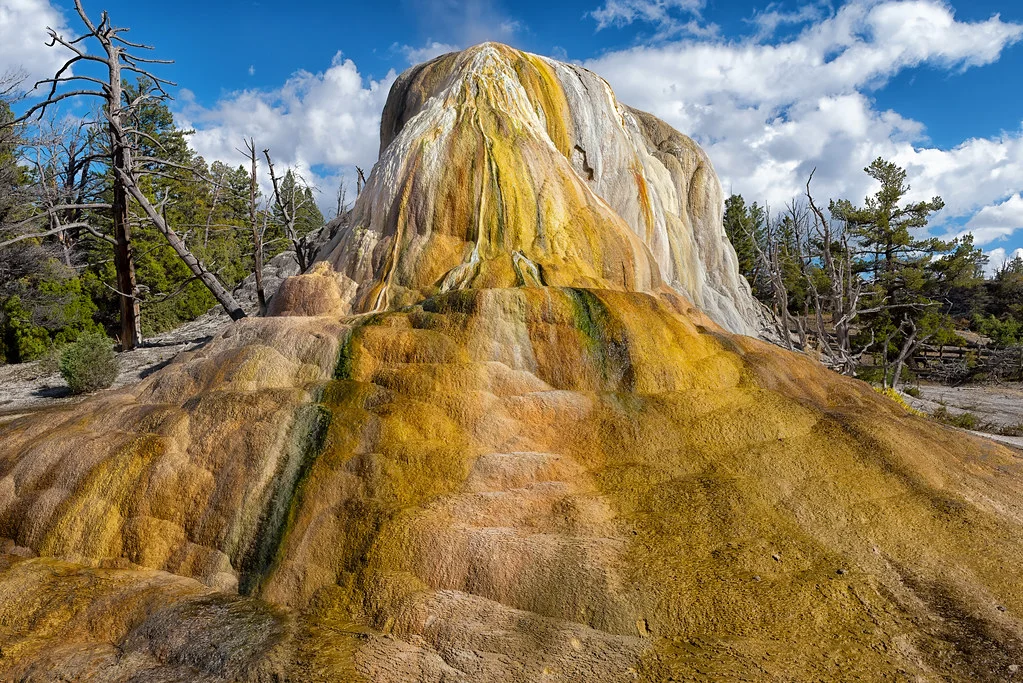 Mammoth Hot Springs, États-Unis