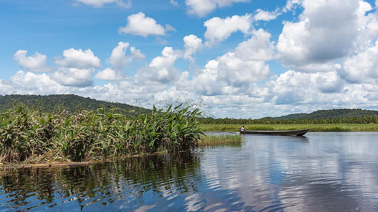 Réserve naturelle nationale des marais de Kaw-Roura, Guyane française
