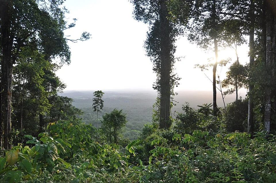 Réserve naturelle nationale des marais de Kaw-Roura, Guyane française