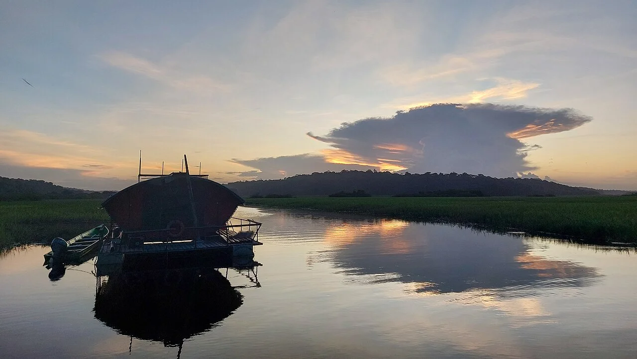 Réserve naturelle nationale des marais de Kaw-Roura, Guyane française