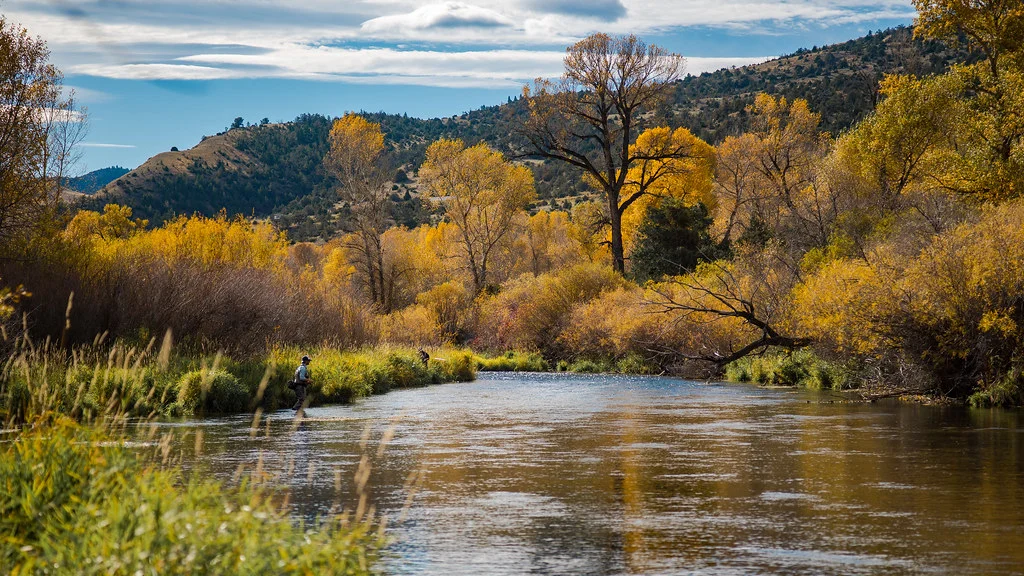 DePuy Spring Creek, États-Unis