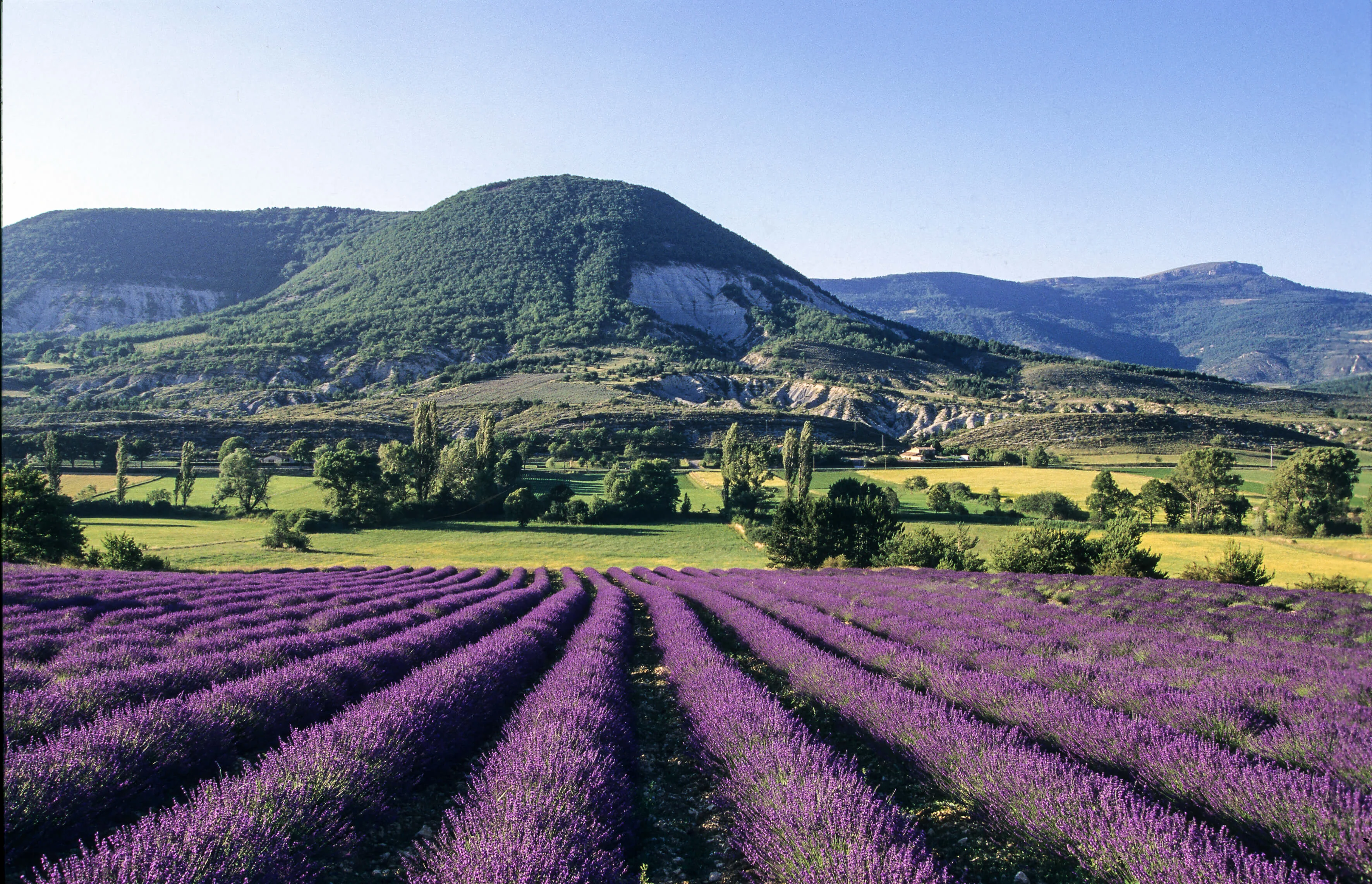 Parc naturel régional des Baronnies provençales, France