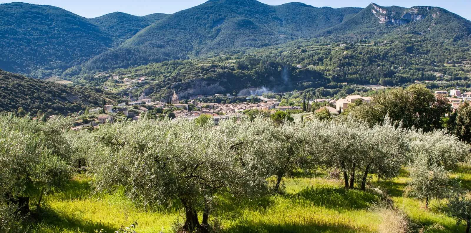 Parc naturel régional des Baronnies provençales, France