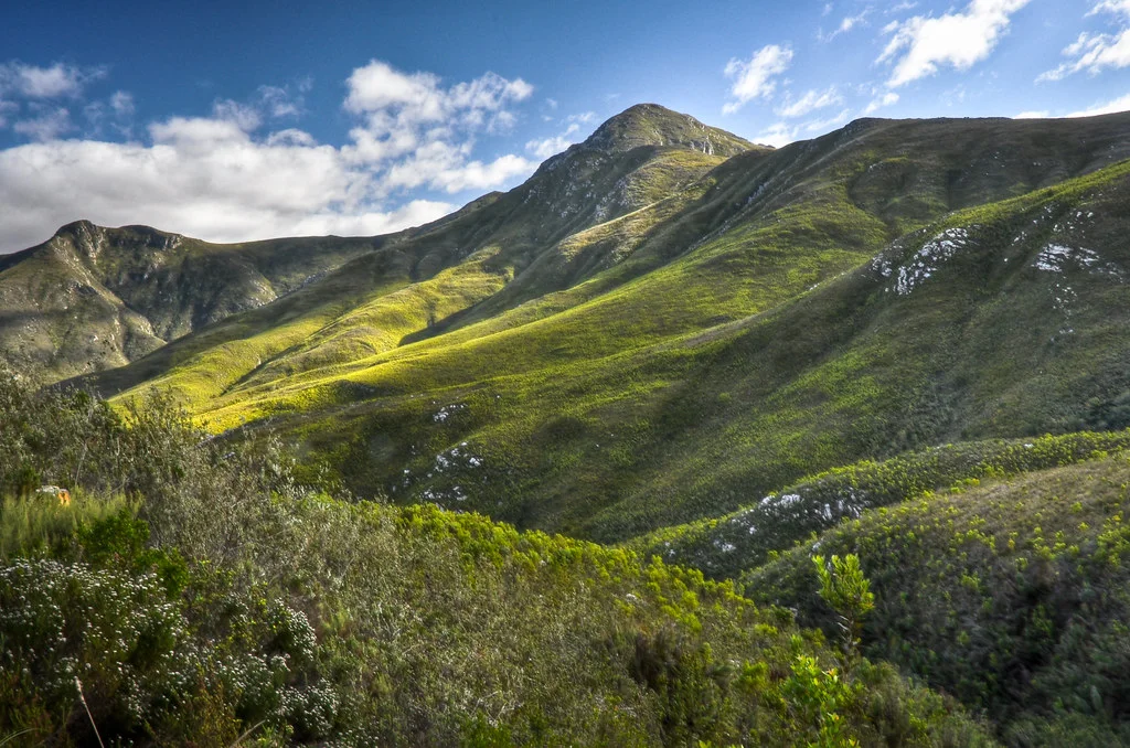 Outeniqua Trail, Afrique du Sud