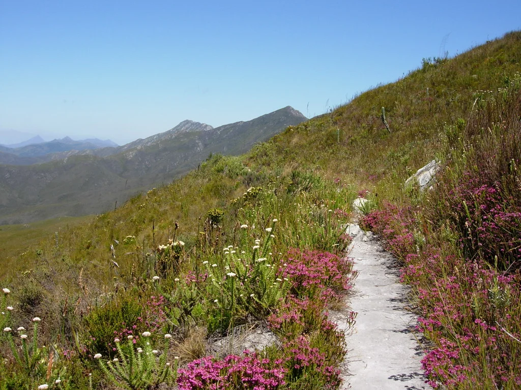 Outeniqua Trail, Afrique du Sud