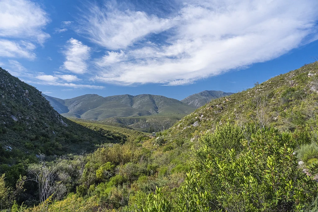 Outeniqua Trail, Afrique du Sud