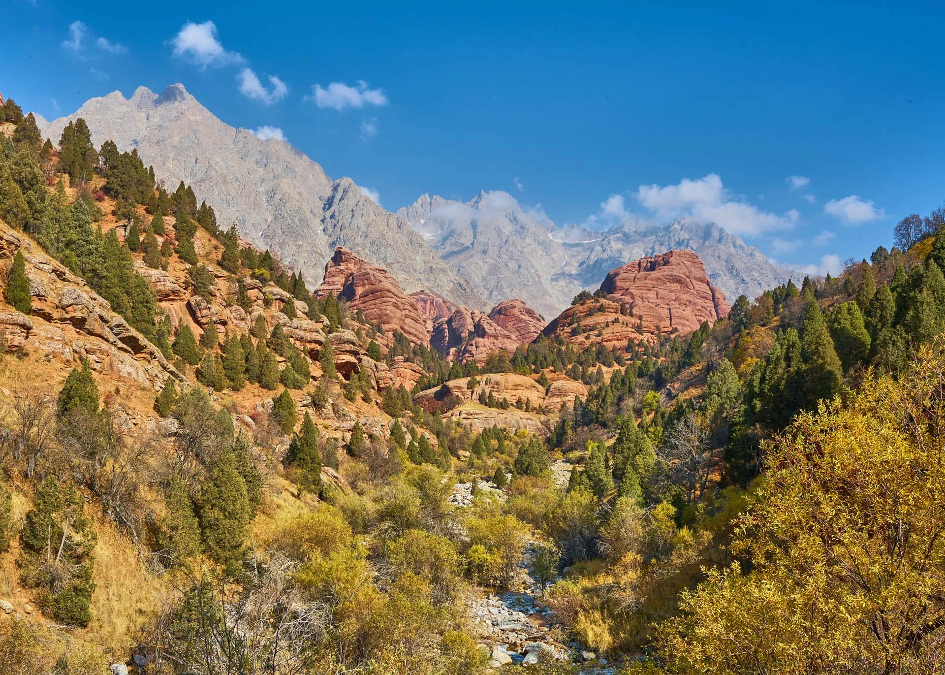 Parc national naturel et historique du Shirkent, Tadjikistan