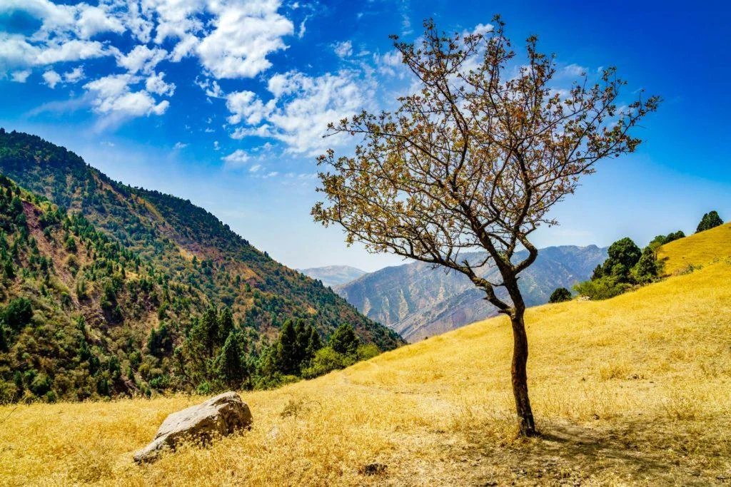 Parc national naturel et historique du Shirkent, Tadjikistan