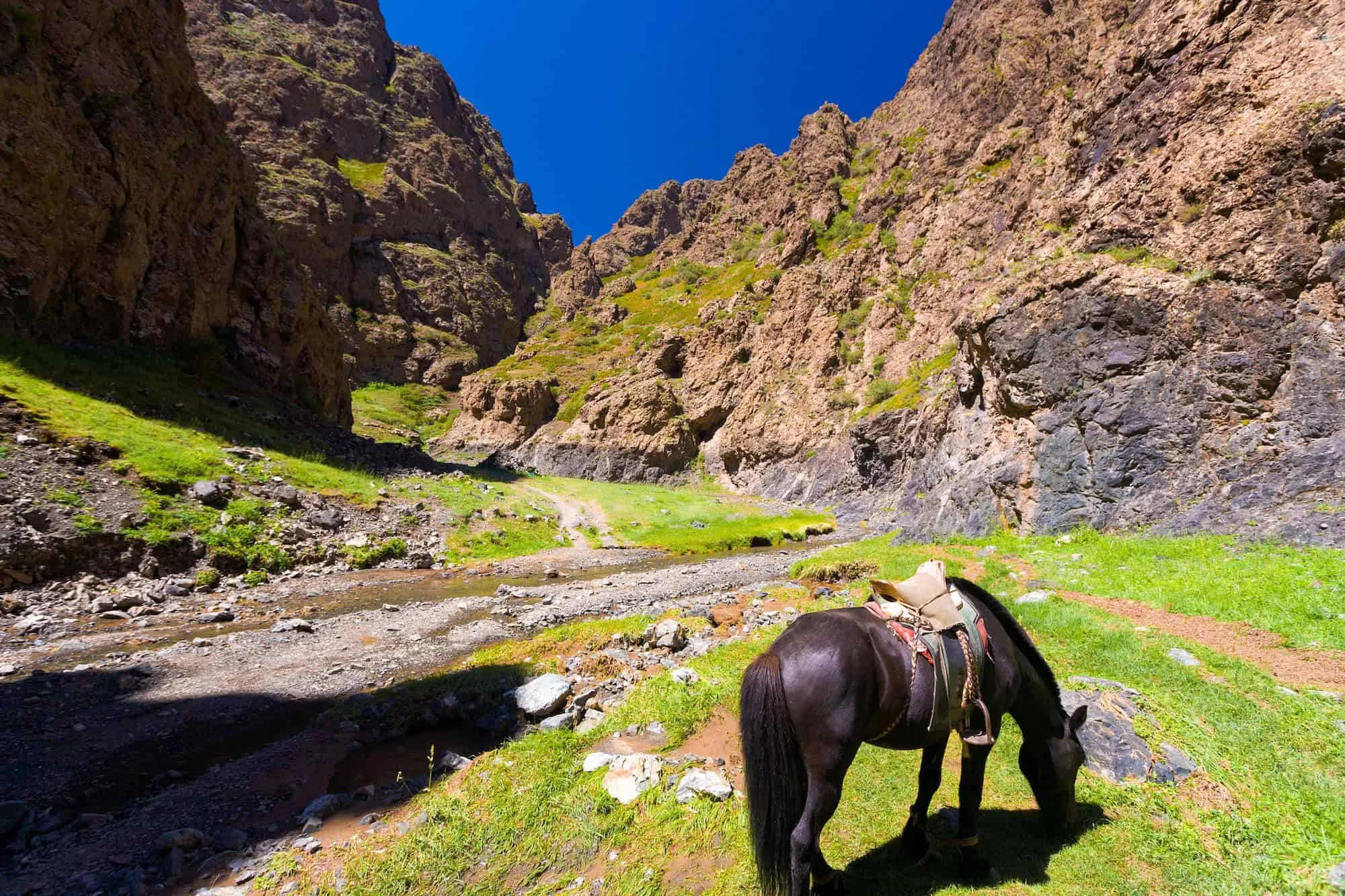 Yoliin Am, Mongolie