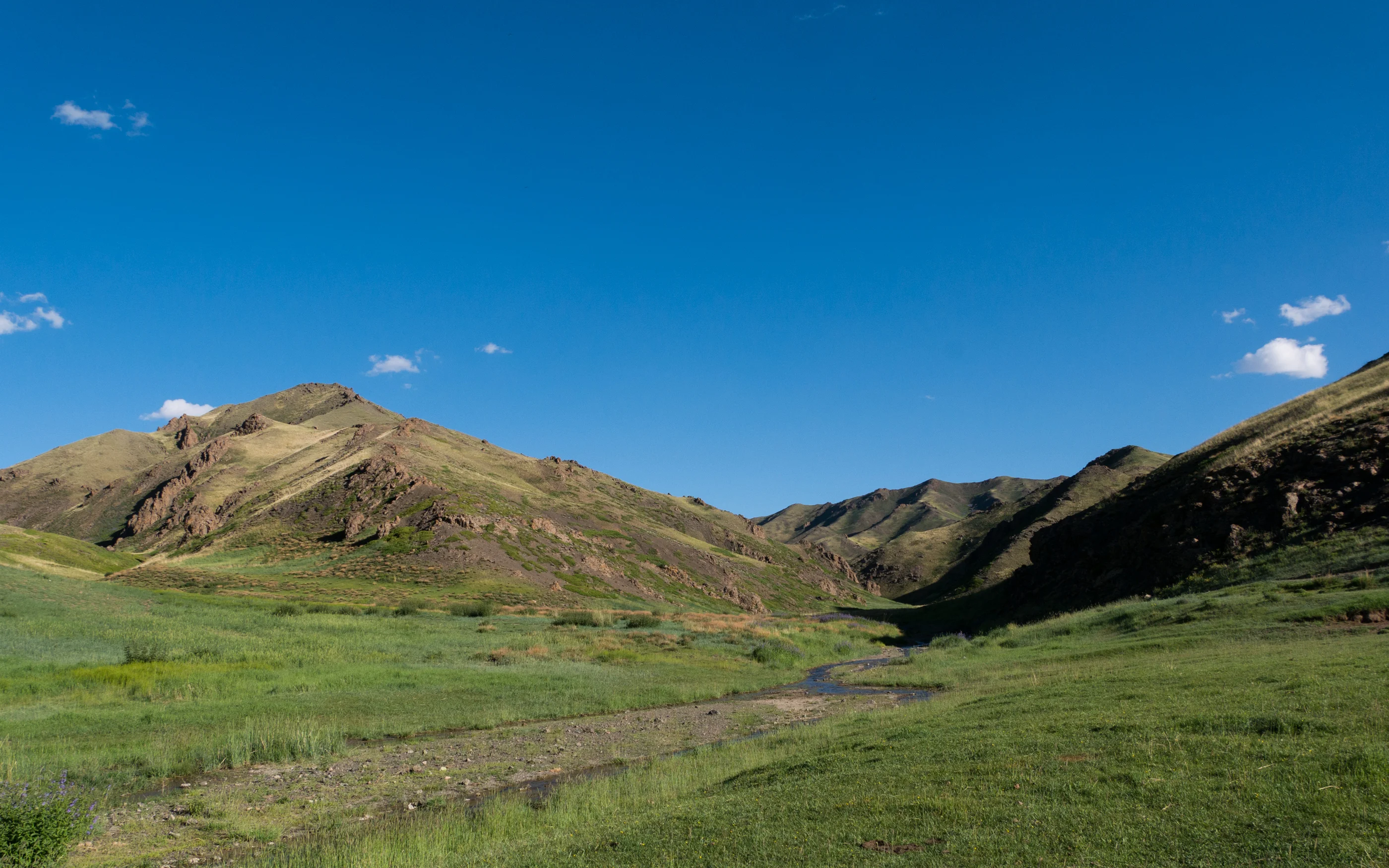 Yoliin Am, Mongolie