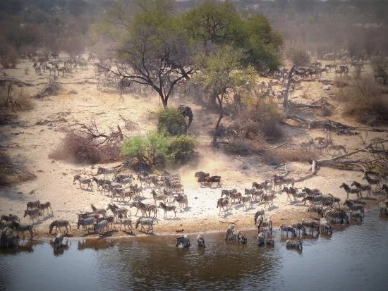 Boteti River, Botswana