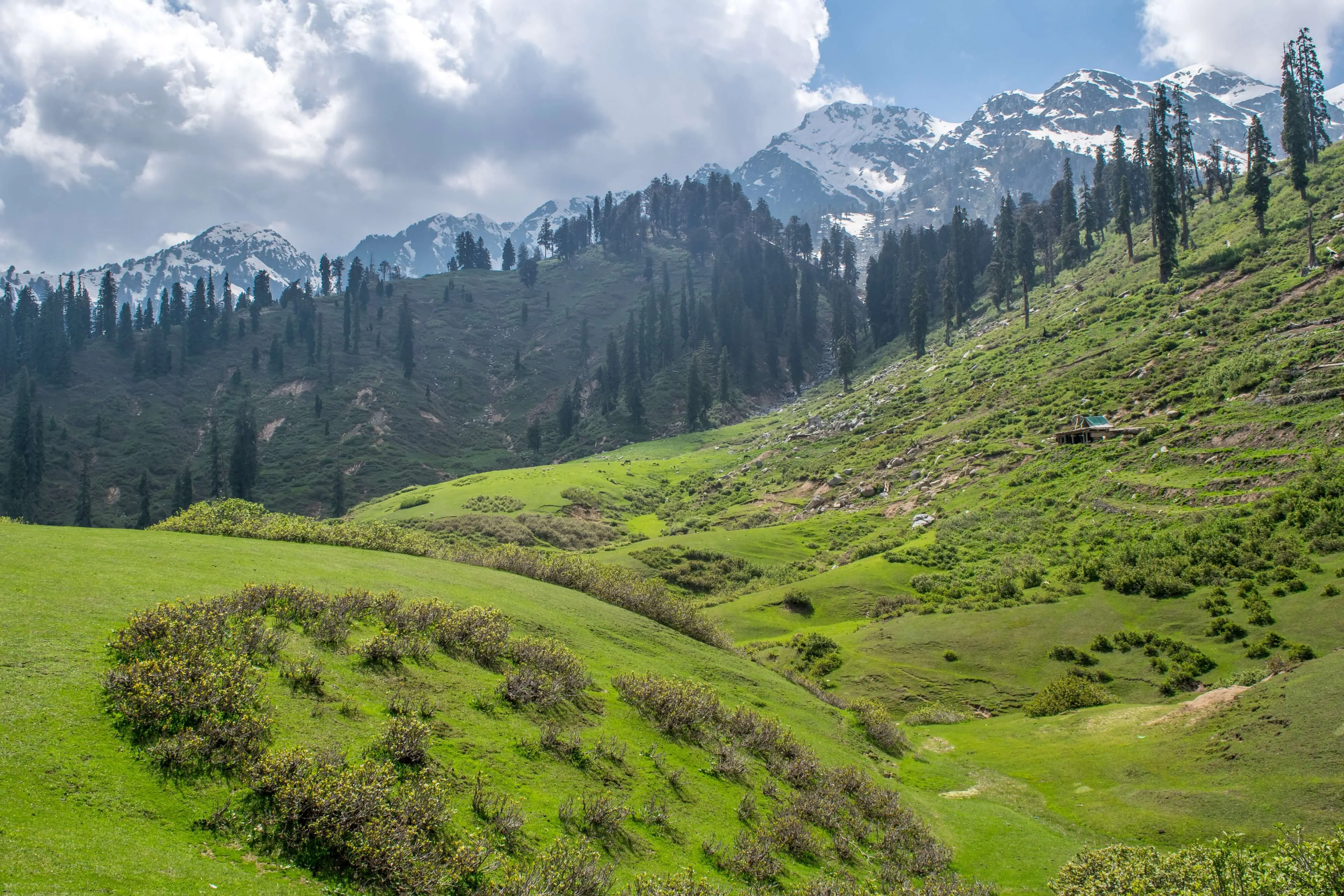 Gabin Jabba, Pakistan