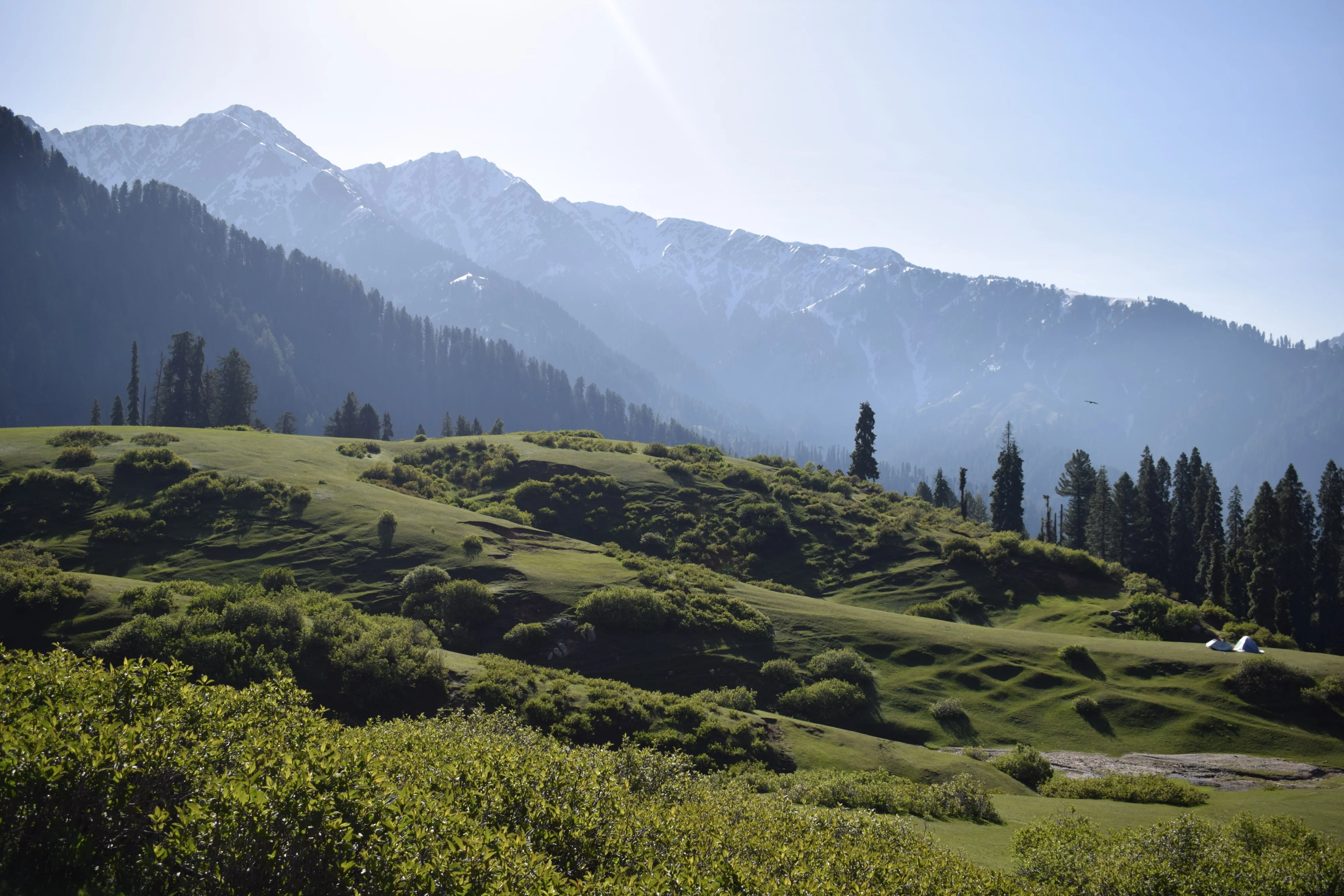 Gabin Jabba, Pakistan