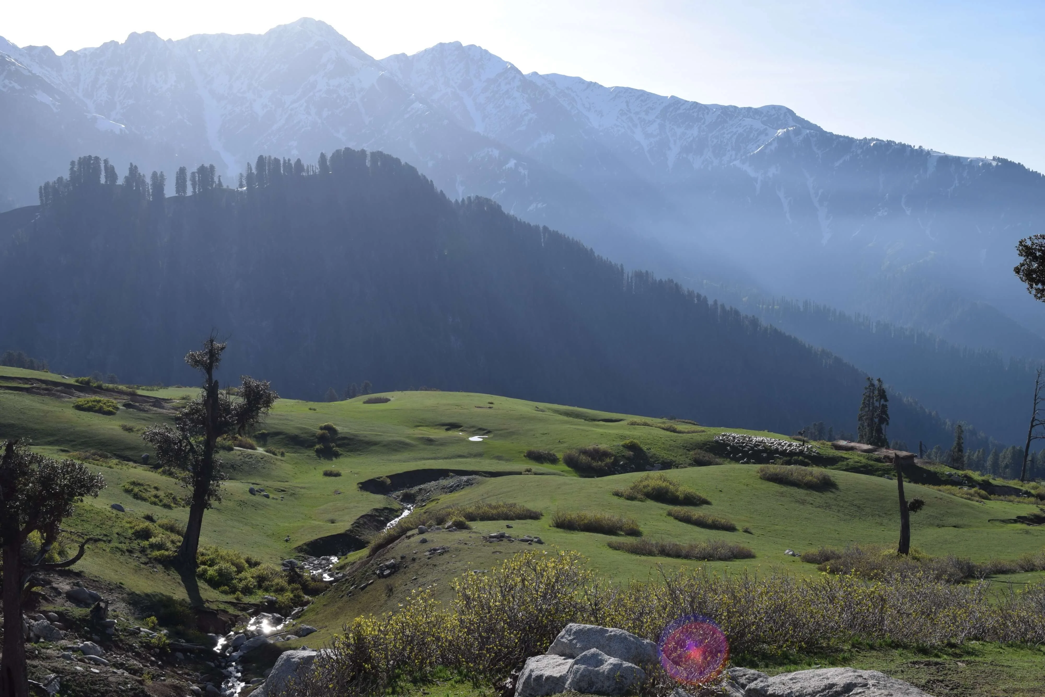 Gabin Jabba, Pakistan