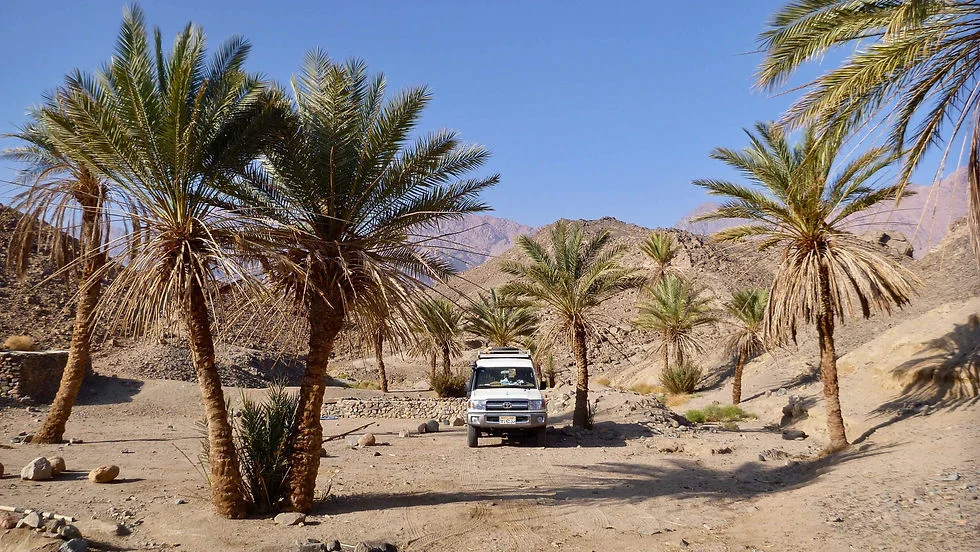 Wadi Faalig, Égypte
