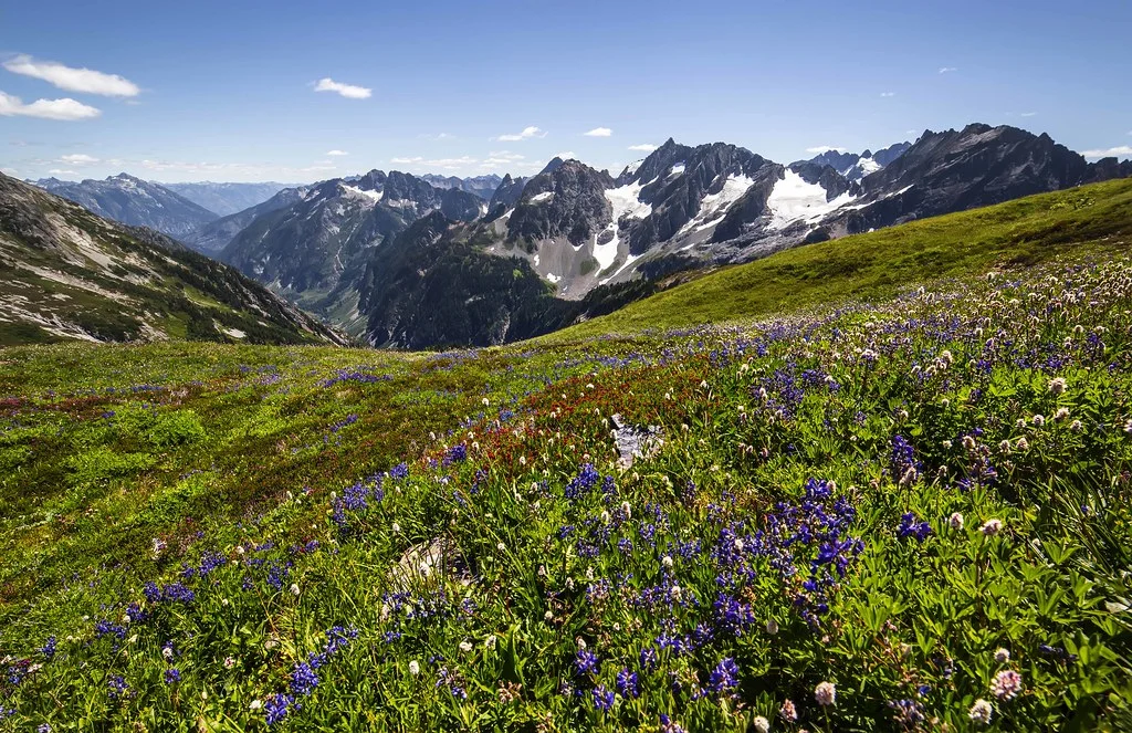 Sahale Arm, États-Unis