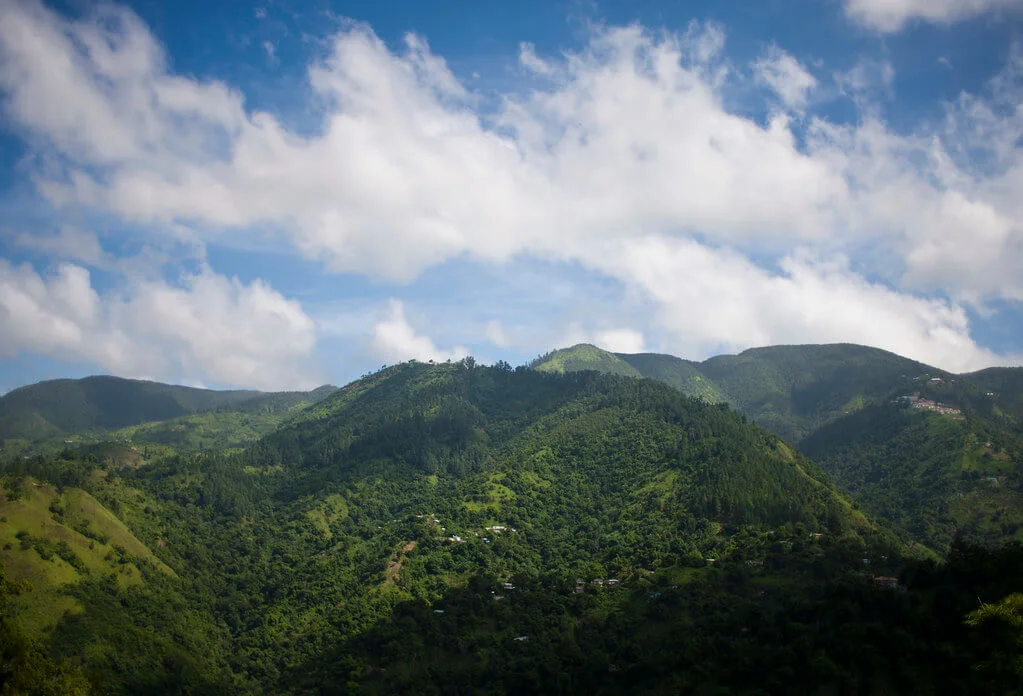 Blue Mountain Peak, Jamaïque
