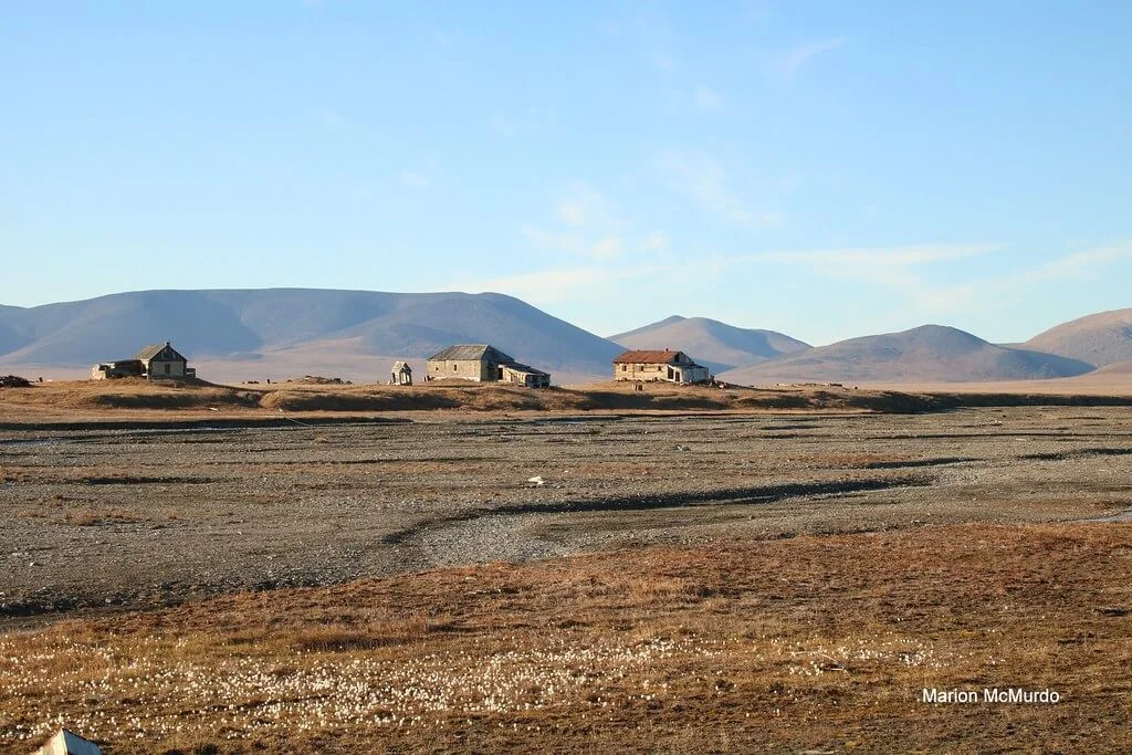 Réserve naturelle de l'île Wrangel, Russie
