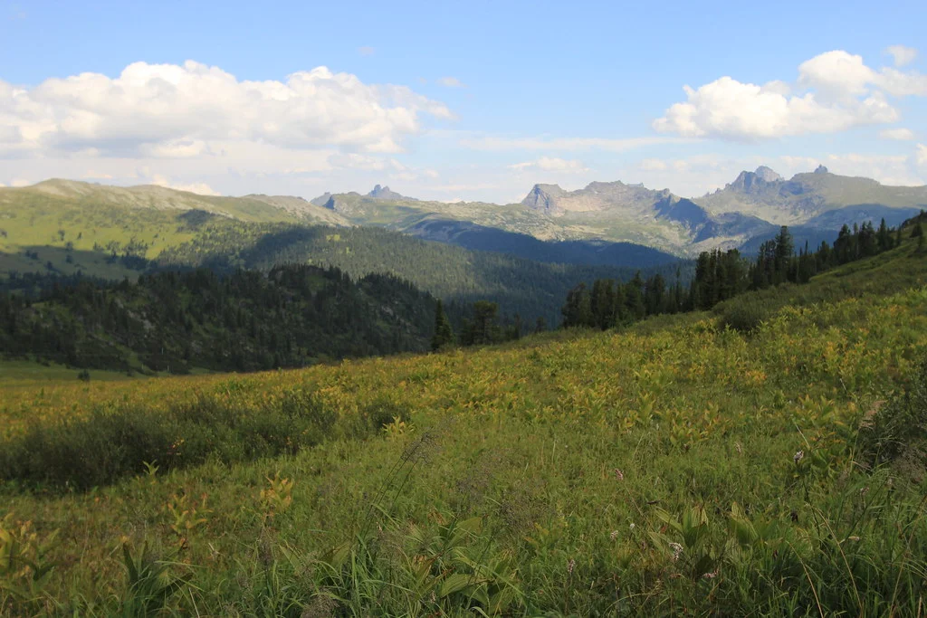 Réserve naturelle de l'île Wrangel, Russie