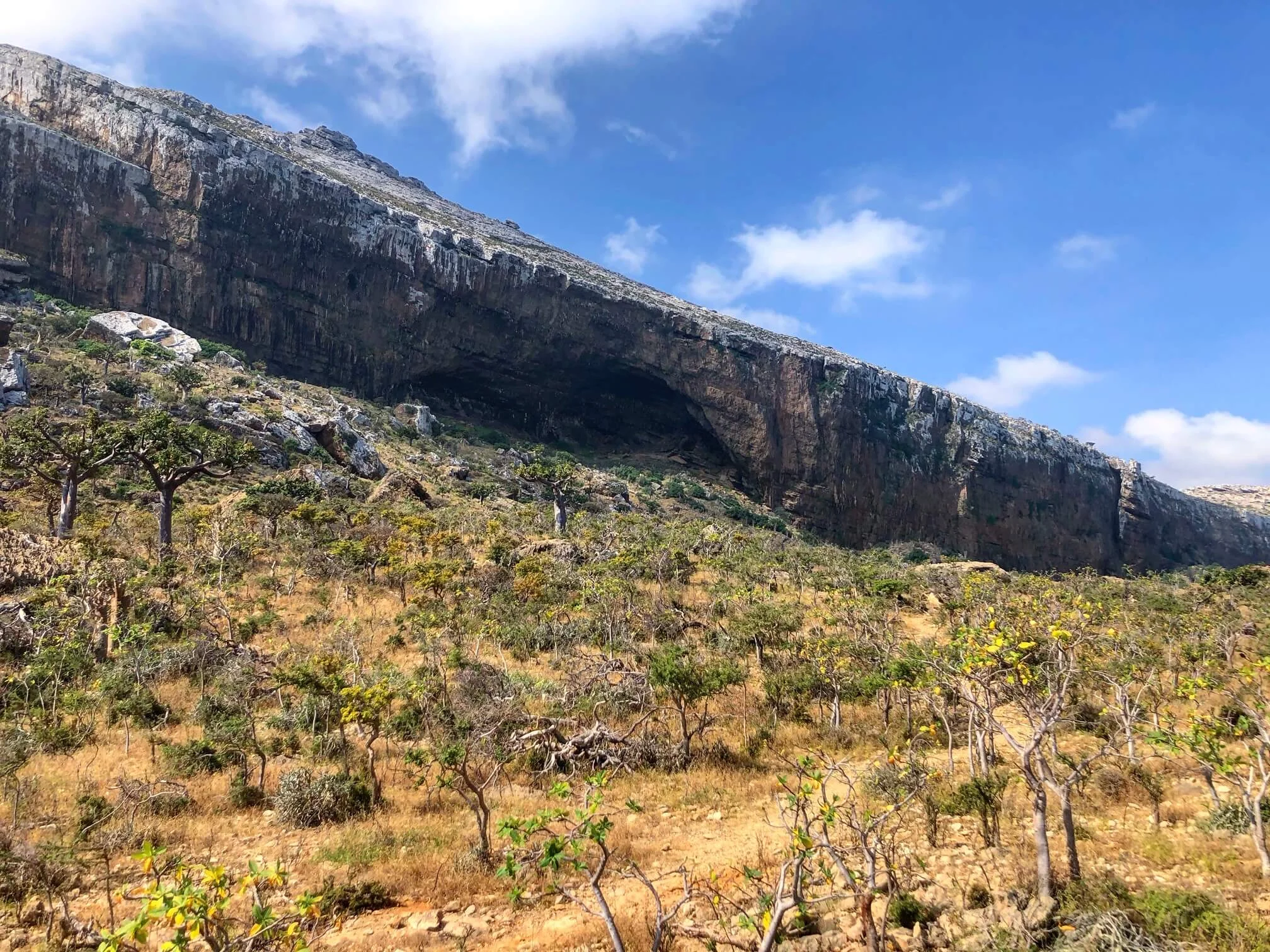 Hoq Cave, Yémen, Socotra
