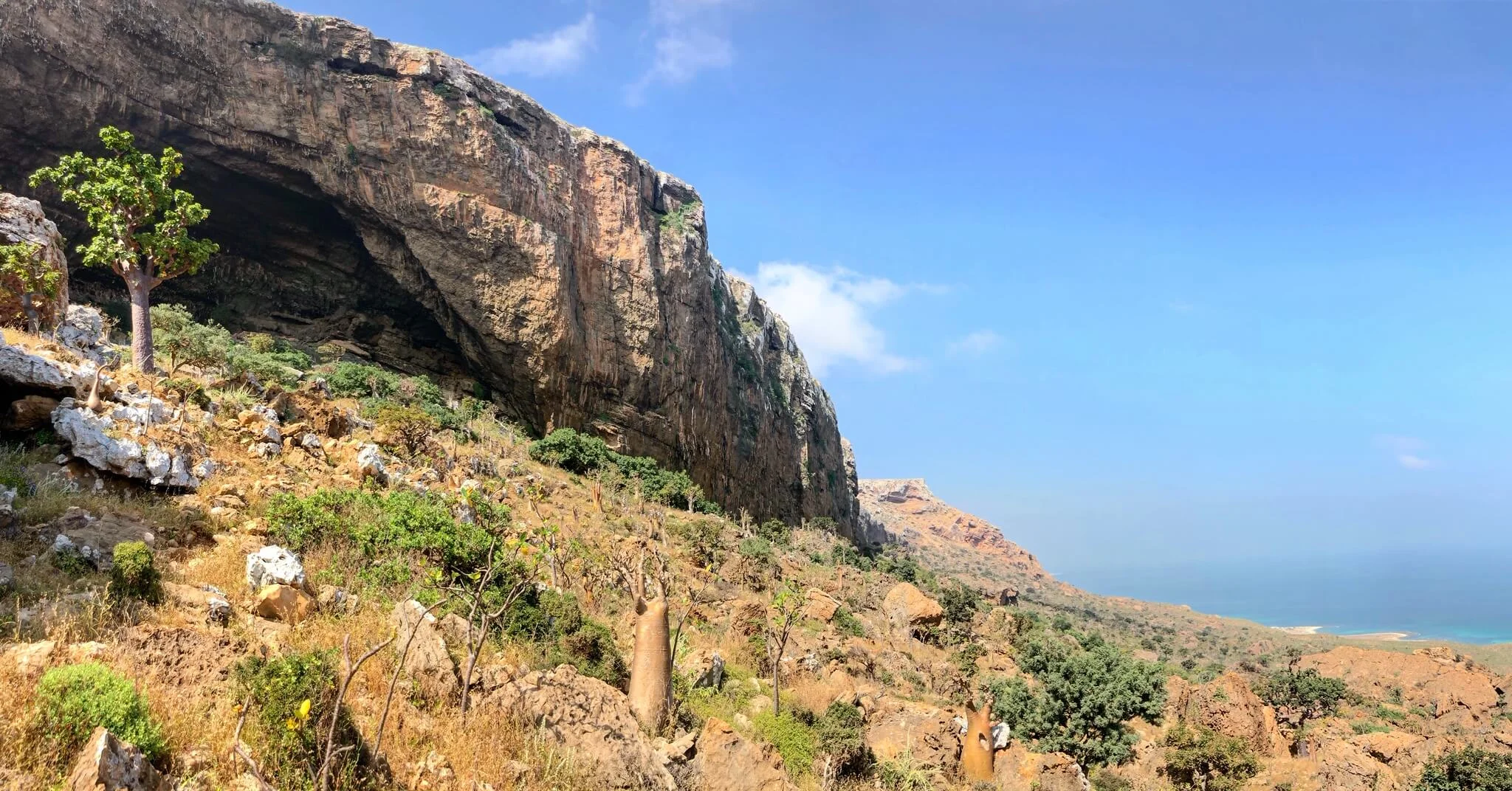 Hoq Cave, Yémen, Socotra
