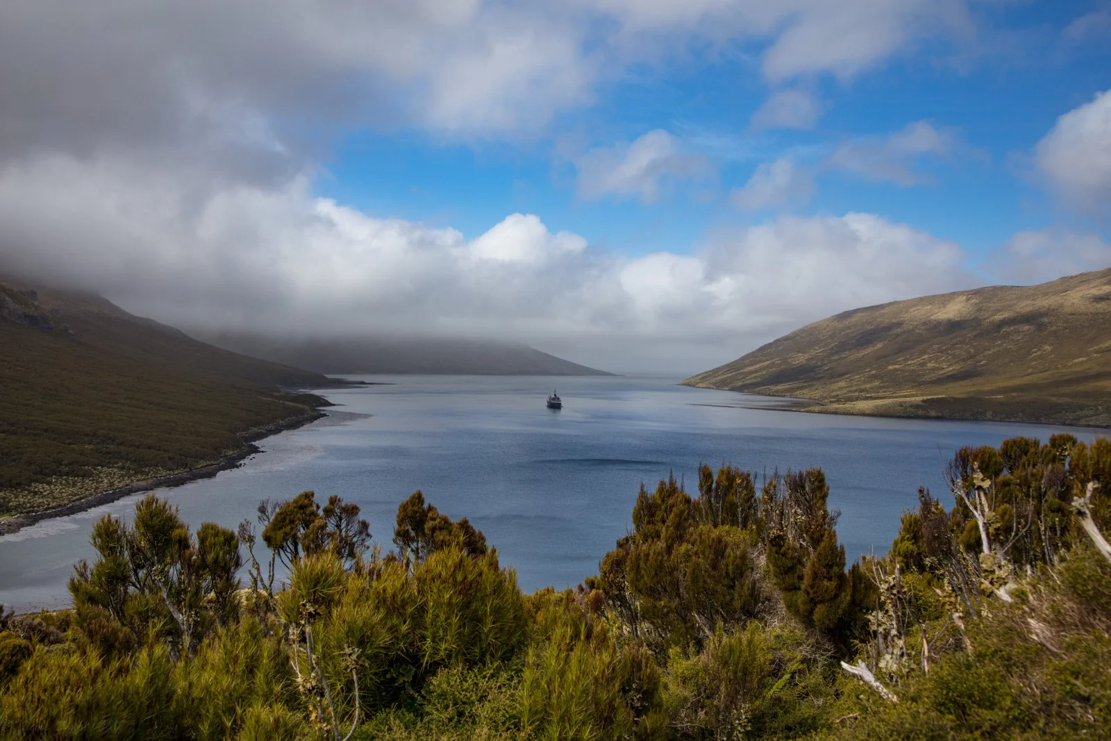 Île Campbell, Nouvelle-Zélande