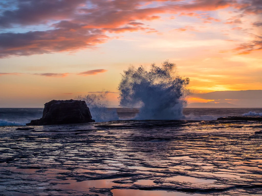 Shipstern Bluff, Australie, Tasmanie