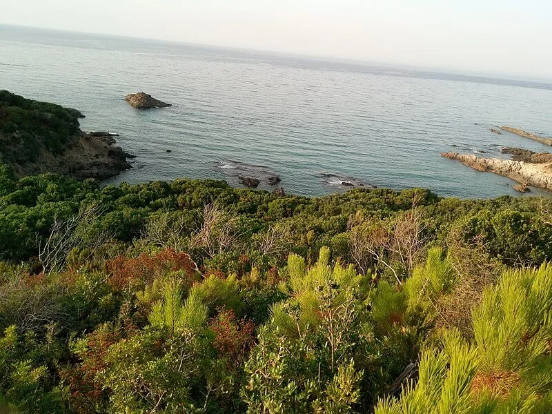 Tamanart, Algérie