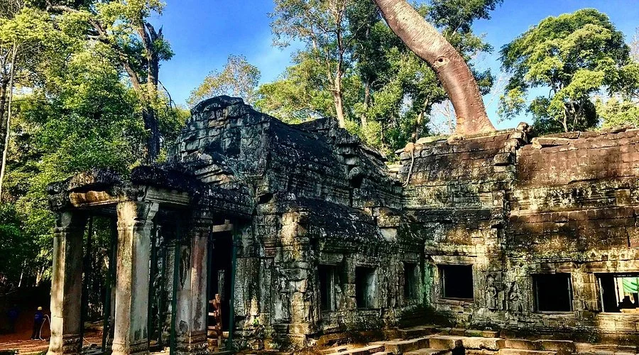 Ta Prohm, Cambodge