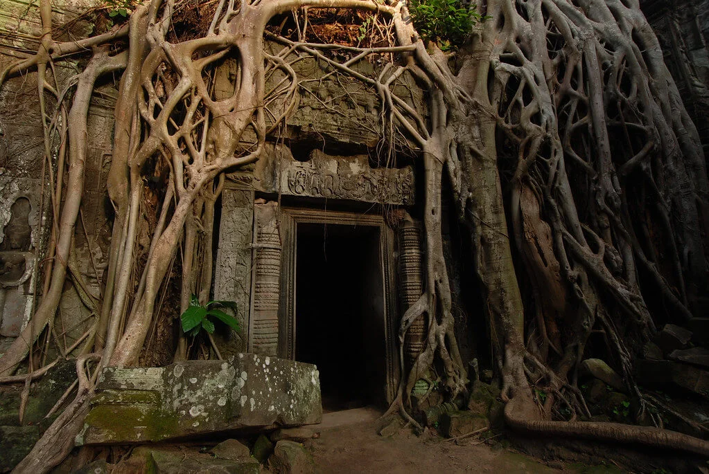 Ta Prohm, Cambodge