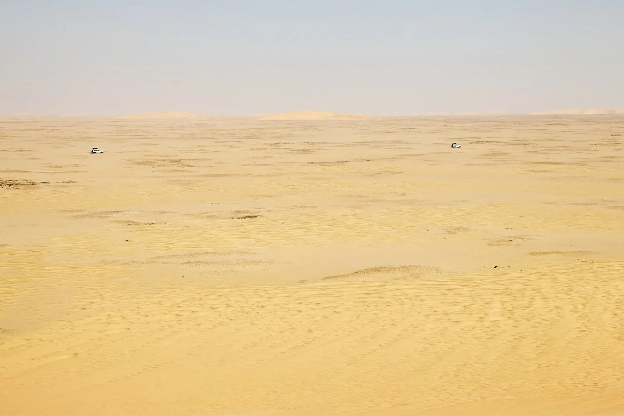 Désert du Djourab, Tchad, Tchad, Tchad