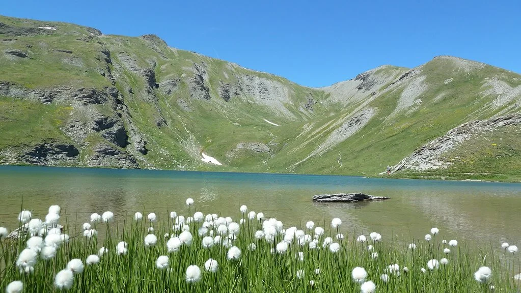 Grand Laus, France