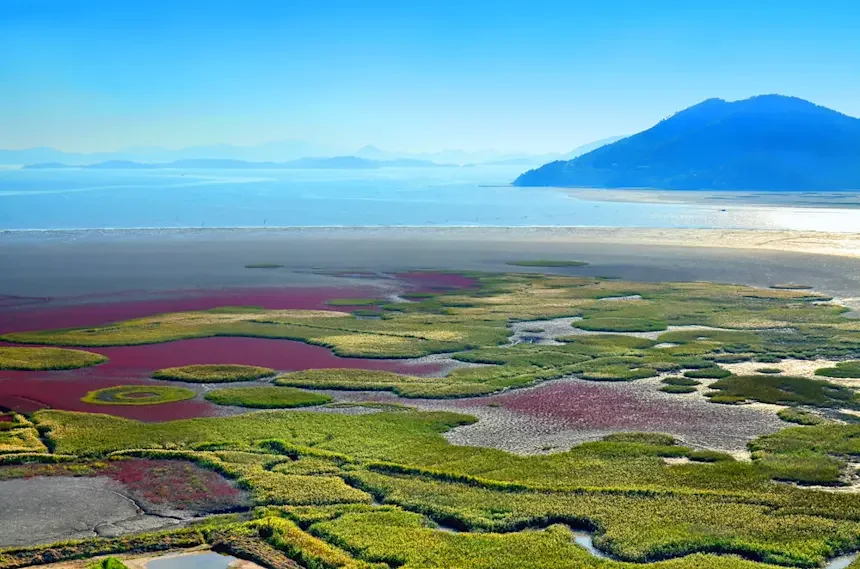 Baie de Suncheon, Corée du Sud