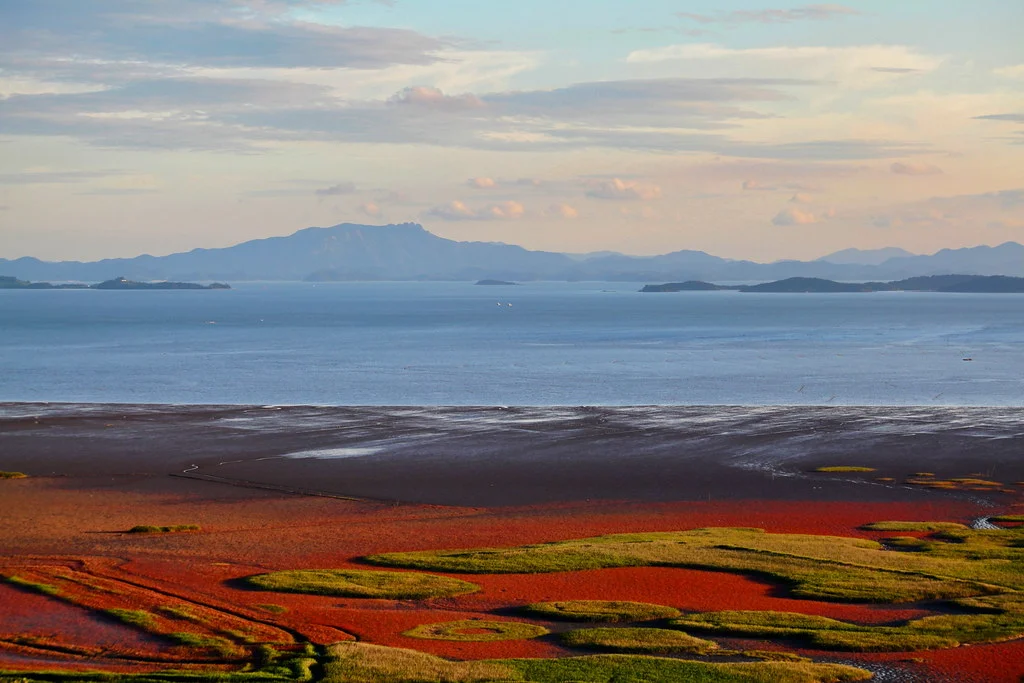 Baie de Suncheon, Corée du Sud