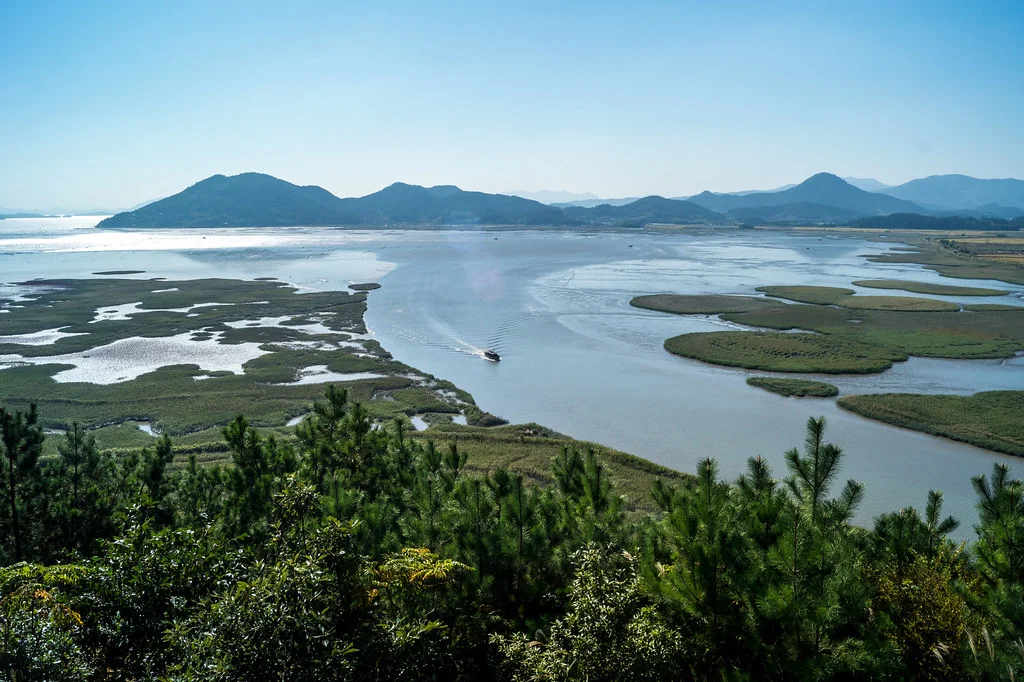 Baie de Suncheon, Corée du Sud