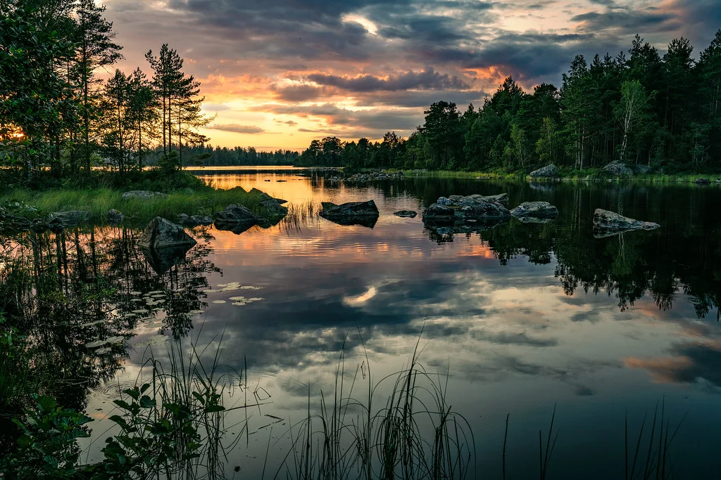 Réserve naturelle de Glaskogen, Suède
