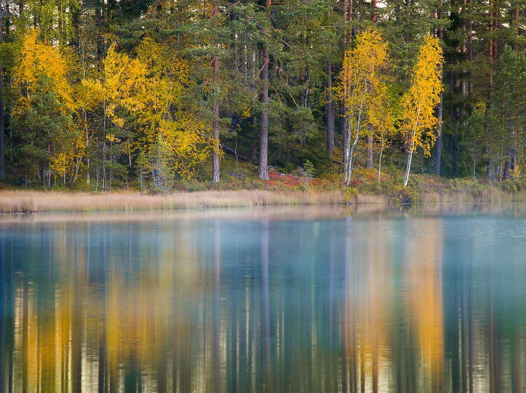 Réserve naturelle de Glaskogen, Suède