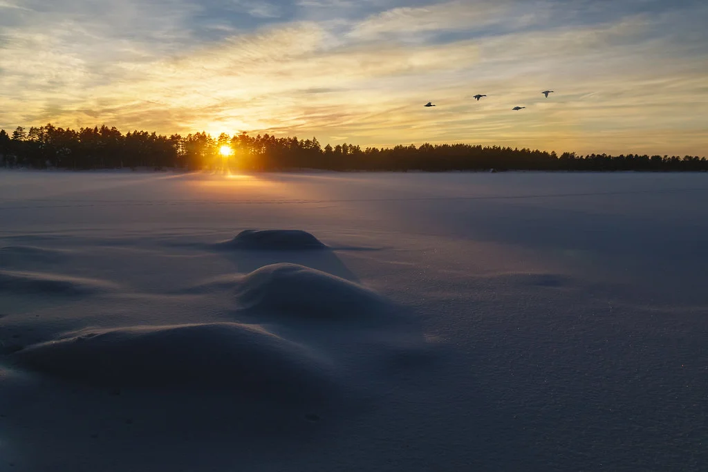 Réserve naturelle de Glaskogen, Suède