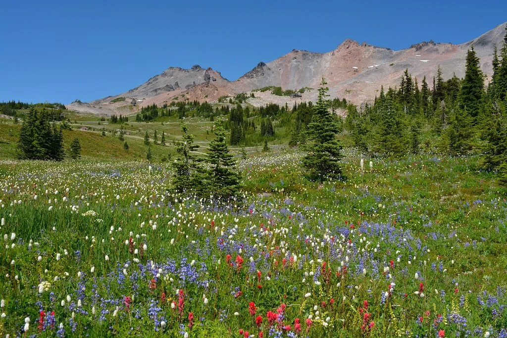 Goat Rocks Wilderness, États-Unis